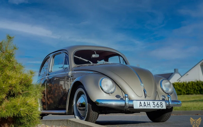 Volkswagen Garbus cena 179000 przebieg: 73845, rok produkcji 1956 z Ostrzeszów małe 742